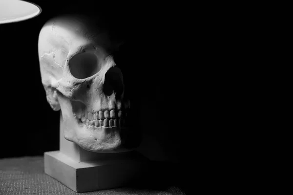 재료로 그리고 전면의 그림으로 사람의 두개골 배경에 고립됨 — 스톡 사진