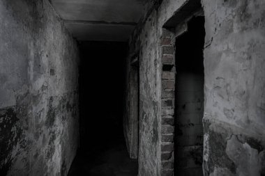 Işıkları ve girişi olan dağınık bir koridor. Kapılı karanlık koridor. Karanlıkta ışık. 