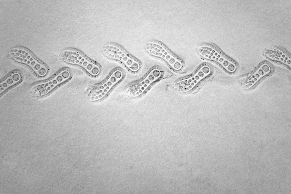 Vue Aérienne Une Empreinte Humaine Sur Neige Blanche Lac Gelé — Photo