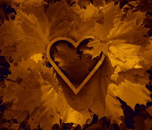 Sarı Akçaağaç Yaprakları Kalp Şeklinde Ahşap Kutunun Içinde Yatar Sonbahar — Stok fotoğraf
