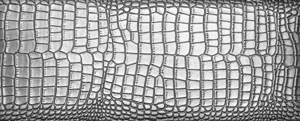 Hintergrund Aus Natürlichem Silber Krokodilleder Textur Der Schlangenhaut Die Textur — Stockfoto