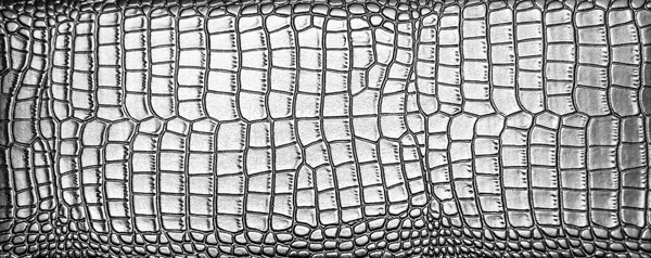 Hintergrund Aus Natürlichem Silber Krokodilleder Textur Der Schlangenhaut Die Textur — Stockfoto
