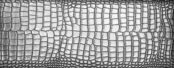 Background Natural Silver Crocodile Leather Texture Snake Skin Texture Natural — Stock Photo, Image