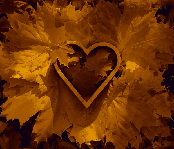Yellow Maple Leaves Lie Wooden Box Form Heart Autumn Season — Stock Photo, Image