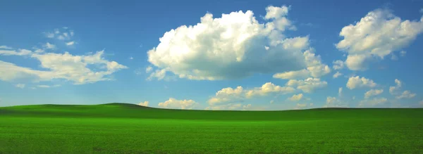 Yeşil Çimen Tarlasıyla Panoramik Doğal Manzara Kıvrımlı Ufuk Çizgisiyle Mavi — Stok fotoğraf