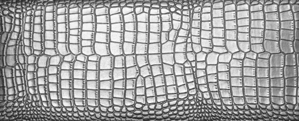 Tło Naturalnej Skóry Krokodyla Srebrnego Faktura Skóry Węża Tekstura Naturalnej — Zdjęcie stockowe