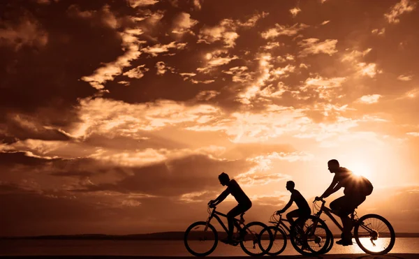 Leerer Raum Sportliche Freunde Auf Fahrrädern Bei Sonnenuntergang Radfahrer Die — Stockfoto