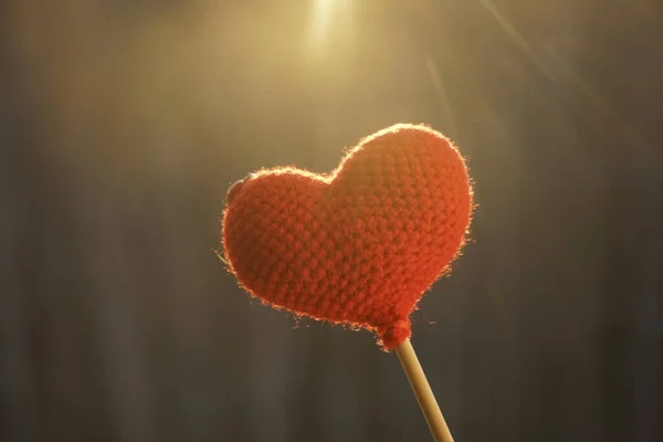 Amor Coração Floresta Inverno Contra Sol Coração Malha Vermelho Pau — Fotografia de Stock