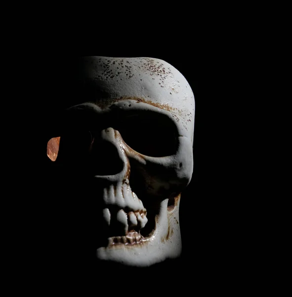人类头骨模型 光线和阴影 空的复制空间用于注册 在黑色背景上隔离 — 图库照片