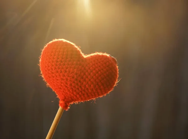 Love Heart Winter Forest Sun Red Knitted Heart Wooden Stick — Stock Photo, Image
