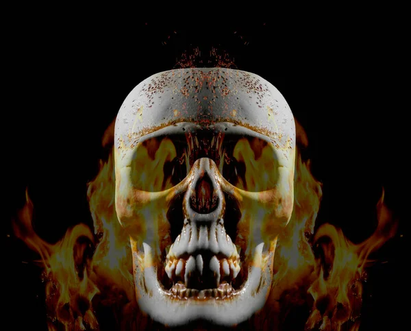 用火焰点燃人类的头骨 在黑色背景上隔离的照片图像 — 图库照片