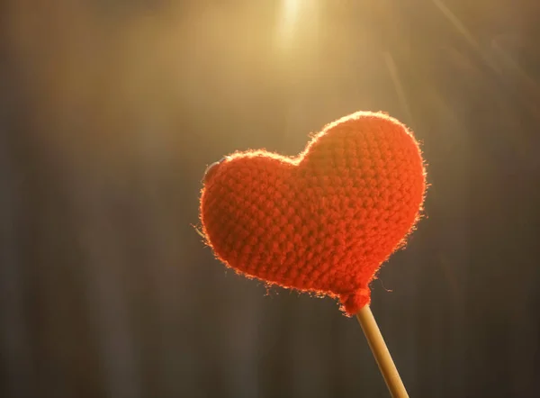 Amor Coração Floresta Inverno Contra Sol Coração Malha Vermelho Pau — Fotografia de Stock