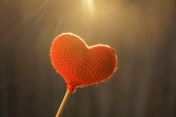 Love Heart Winter Forest Sun Red Knitted Heart Wooden Stick — Stock Photo, Image