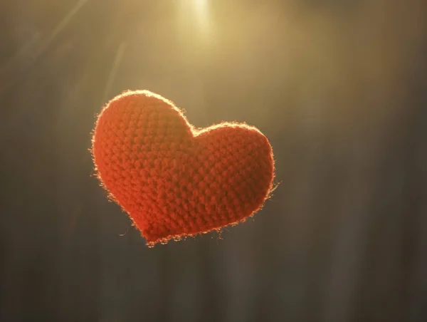 在冬天的森林里 爱你的心 抵御阳光 木棍上的红色针织心 浪漫爱情的象征 情人节的背景 — 图库照片