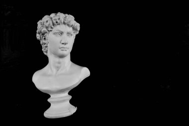 Genç bir Yunan 'ın beyaz alçı göğüslü heykel portresi. Siyah arkaplanda izole. 