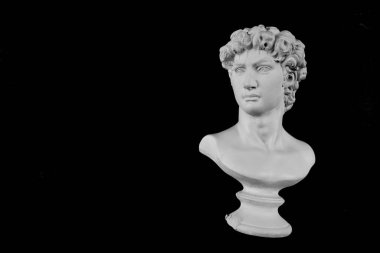 Genç bir Yunan 'ın beyaz alçı göğüslü heykel portresi. Siyah arkaplanda izole. 