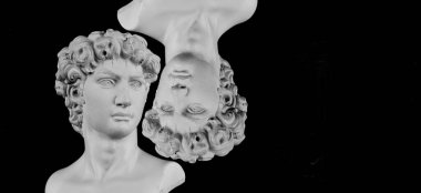 Beyaz alçı göğüs heykelleri. Siyah arkaplanda izole. 