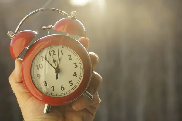 Alarm Clock Hand Natural Background Summer Concept Selective Focus Hands — Stock Fotó