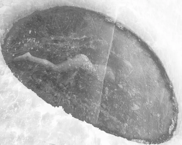 Girl Ice Snow Idea Fabulous Winter Photo Shoot Woman Blonde — Foto Stock