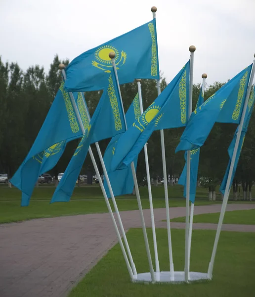 Many Kazakhstan National Flags Background Summer Park Nur Sultan Astana — Foto de Stock