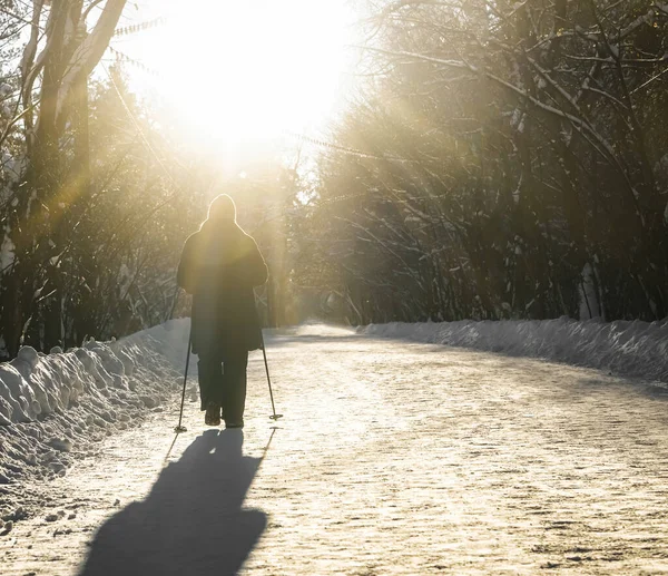 Adult Woman Winter Sportswear Sticks Nordic Walking Winter Landscape City — Stockfoto
