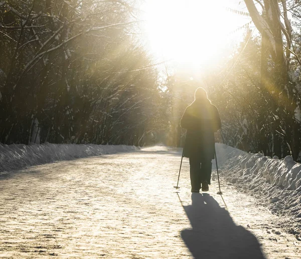 Dorosła Kobieta Odzieży Sportowej Zimowej Kijami Nordic Walking Tle Parku — Zdjęcie stockowe