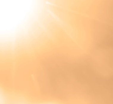 blurred image.  light of the setting sun.