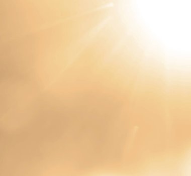 blurred image.  light of the setting sun.