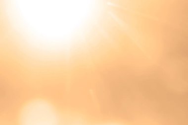 blurred image.  light of the setting sun.