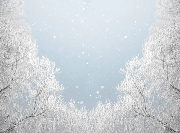 Winterlandschaft Aus Schneebedeckten Ästen Gegen Blauen Himmel Bei Schneefall Mit — Stockfoto