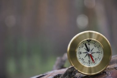 turizmin sembolü olarak doğal arka planda yuvarlak pusula