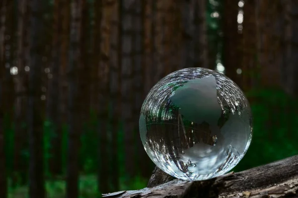 Grüne Öko Welt Pflege Umwelt Kristallkugelglas Ruht Auf Baumstamm Mit — Stockfoto