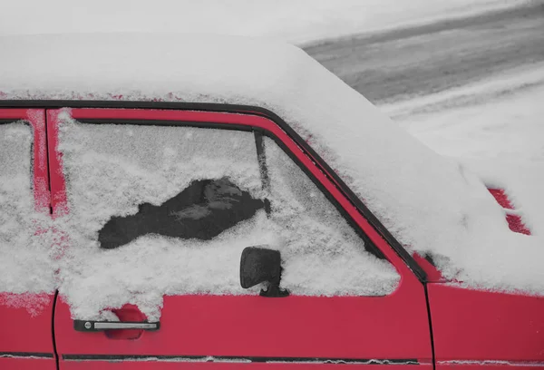 Gefrorenes Auto Die Seite Des Autos Schnee Aus Nächster Nähe — Stockfoto