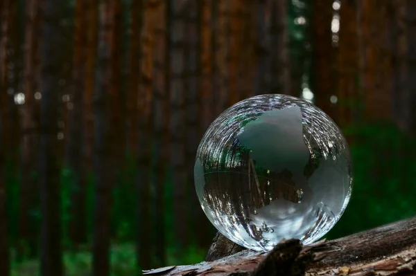 Grüne Öko Welt Pflege Umwelt Kristallkugelglas Ruht Auf Baumstamm Mit — Stockfoto