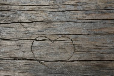 Ağaç gövdesine oyulmuş kalp. Yazı için boş kopyalama alanı. 