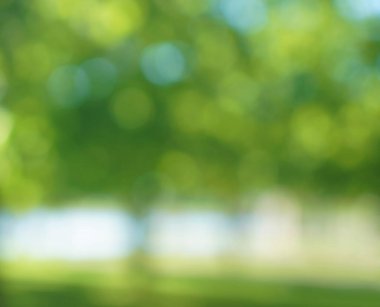 Güzel doğa yeşil bokeh arka plan. Parktaki ağaçların yaprakları arasından parlayan güneş ışığından yeşil bir bokeh. Bulanık bahar arkaplanı