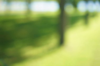 Bulanık bahar arkaplanı. Güzel doğa yeşil Bokeh güneş ışığı soyut arka plan. Parktaki ağaçların yaprakları arasından parlayan güneş ışığından yeşil bir bokeh.. 