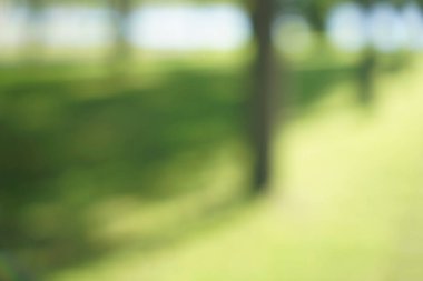 Bulanık bahar arkaplanı. Güzel doğa yeşil Bokeh güneş ışığı soyut arka plan. Parktaki ağaçların yaprakları arasından parlayan güneş ışığından yeşil bir bokeh.. 