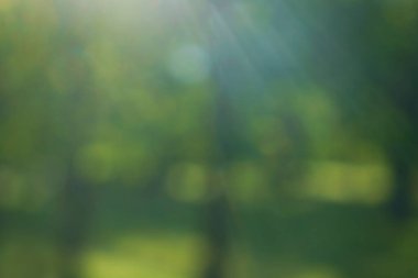 Arka plan bulanık. Güzel doğa yeşil bokeh arka plan. Parktaki ağaçların yaprakları arasından parlayan güneş ışığından yeşil bir bokeh.