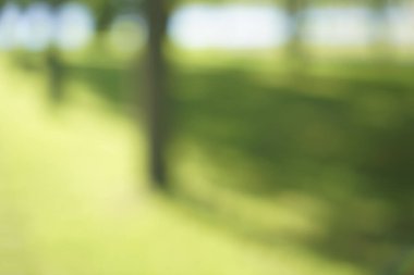 Bulanık bahar arkaplanı. Güzel doğa yeşil Bokeh güneş ışığı soyut arka plan. Parktaki ağaçların yaprakları arasından parlayan güneş ışığından yeşil bir bokeh.. 