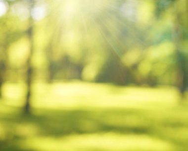 Bulanık bahar arkaplanı. Güzel doğa yeşil bokeh soyut arka plan. Parktaki ağaçların yaprakları arasından parlayan güneş ışığından yeşil bir bokeh..