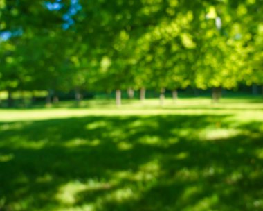 Bulanık görüntü. Yeşil çimen doğası. Bahar ya da yaz mevsimi. Odaklanma. Yeşil çayır tarlasında güzel bir manzara
