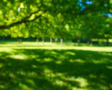 Bulanık görüntü. Yeşil çimen doğası. Bahar ya da yaz mevsimi. Odaklanma. Yeşil çayır tarlasında güzel bir manzara