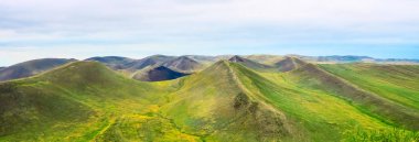 Dağ çayırı. Mavi gökyüzünde kabarık bulutlar olan harika bir yaz manzarası. Otların arasında yabani otlar. Sırt mesafeye doğru yuvarlanıyor 