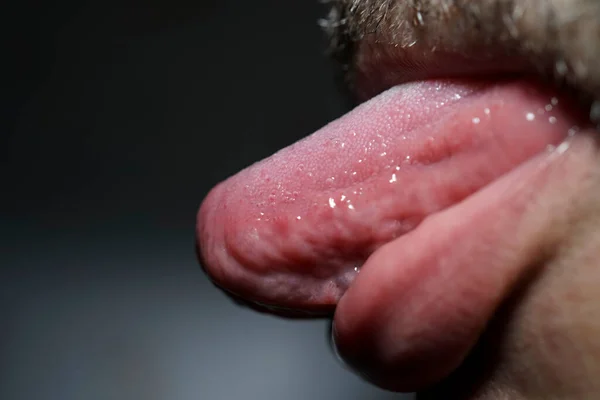 大胡子的男人伸出舌头 拍摄特写图像 戏剧性的光 — 图库照片