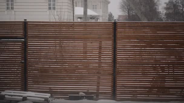 Tahta bir çitin arkasına küçük bir tahıl büyüklüğünde kar düşüyor. — Stok video