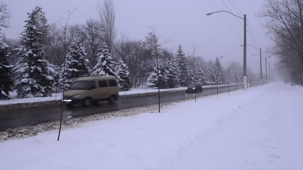 Christmas trees in snow. Wet street road, urban road with passing cars — Wideo stockowe