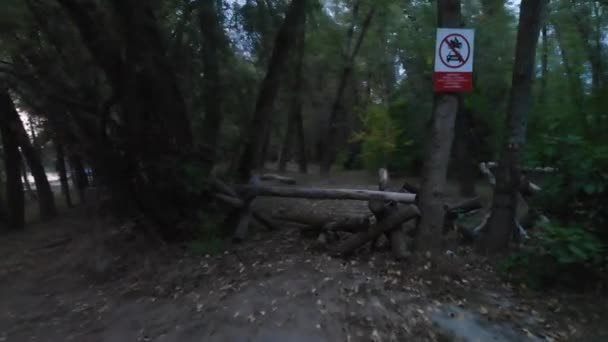 Pemandangan dramatis dari blokade jalan kayu di hutan — Stok Video