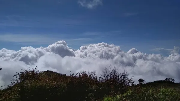 Lawu dağında gözlenen büyüleyici bulut denizi