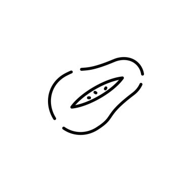 vector illustration of papaya line icon
